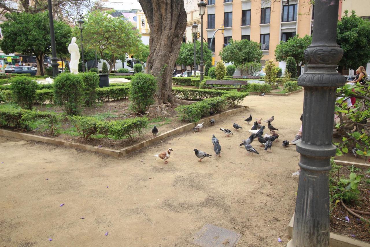 Del Parque Flats Monkey 1 Lejlighed Málaga Eksteriør billede